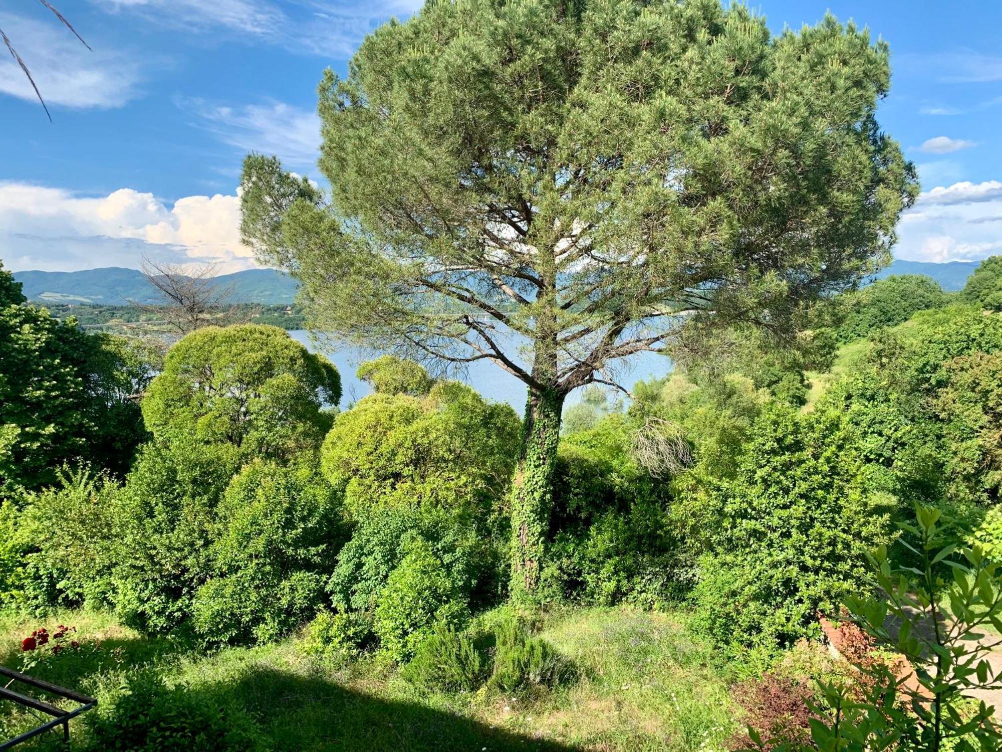 Villa Del Lago Barberino di Mugello Exterior foto
